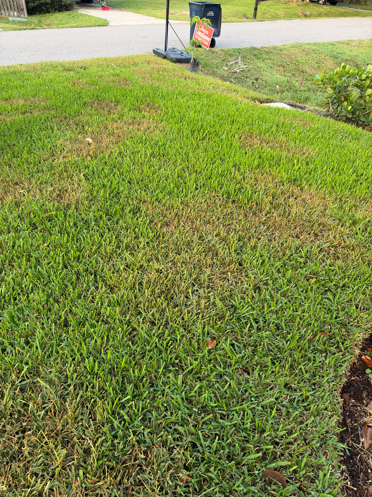 Sedge Treatment - Selective Herbicide (up to 5,000 sq. ft.) * 2 Applications Included*