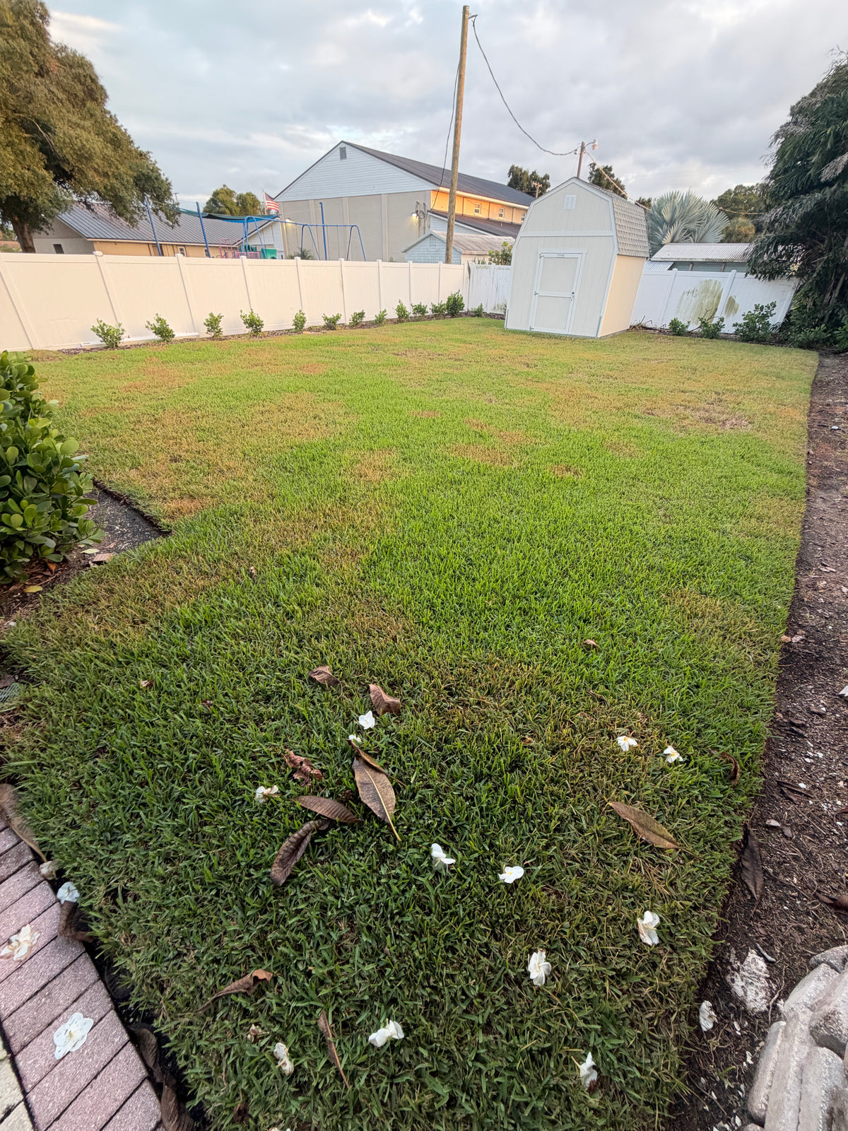 Sedge Treatment - Selective Herbicide (up to 5,000 sq. ft.) * 2 Applications Included*