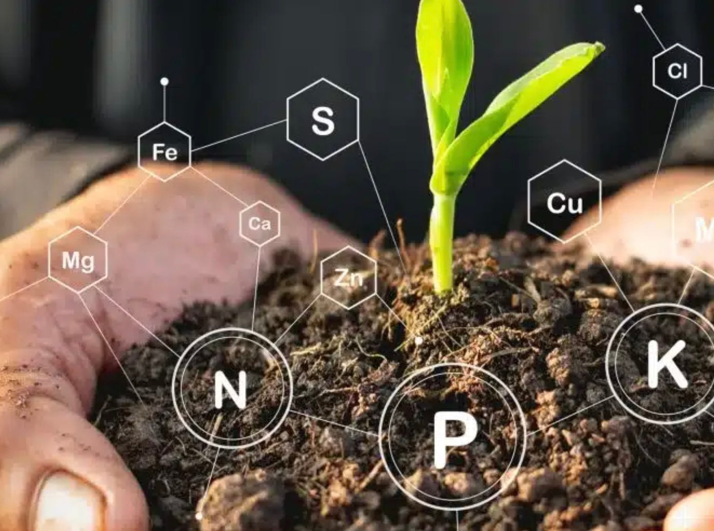 Soil Testing Service