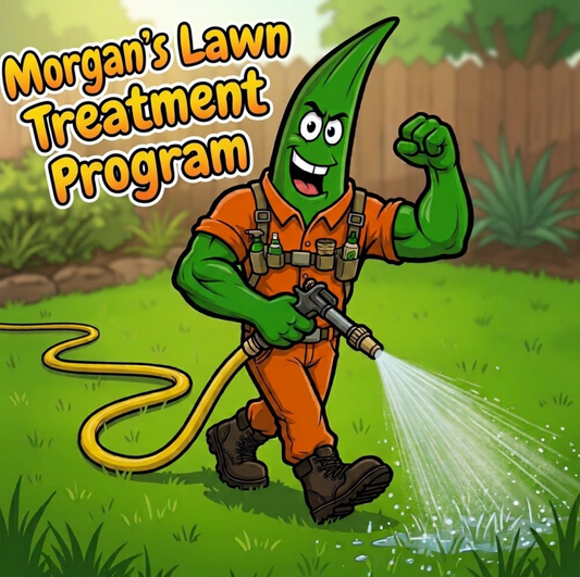 Monthly Lawn Treatment Promotion